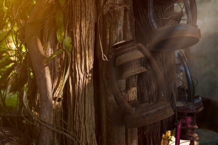 Old rusty kerosene lamp hanging from the tree, Old lamp classic on tree