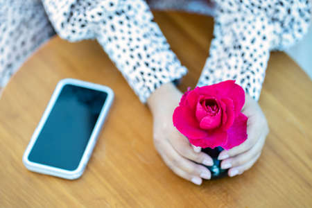 Top view of Woman hands holding a red rose in vase and smart phone on table. shallow dept of field,...