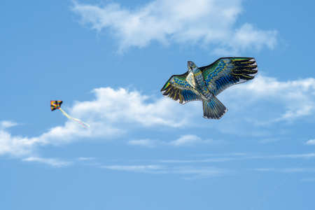 Bird kite flying against a blue sky.