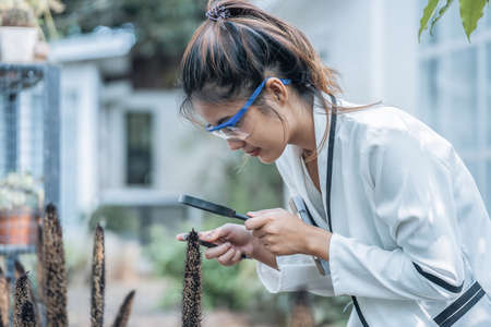 Woman biologist wearing glasses and exploring botany plants in nature using magnifying glass. Female...