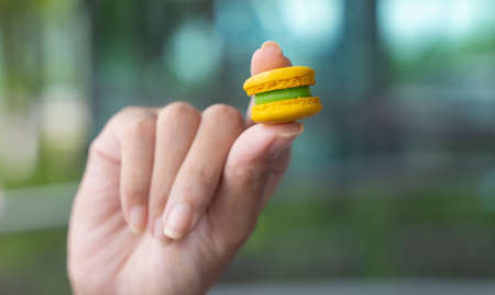 Hand holding Sweet and colourful french macaroons or macaron. Mini macaroons in female hand.の写真素材