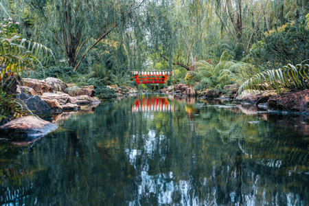 Japanese Red Bridge and pond in forestの写真素材