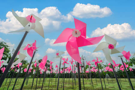 Pink and White plastic windmills toy on green grass and blue sky background. Small plastic colorful turbine and white cloud, pin wheel in natureの写真素材