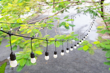 White economy light bulbs hanging in a row. Miscellaneous concept. Home decorate concept. Concept of creativity. Wedding banquet concept. Selective focusの写真素材