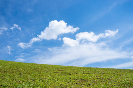 Green grass field on hills with blue sky and white clouds. nature landscape background. green grass field and bright blue skyの写真素材