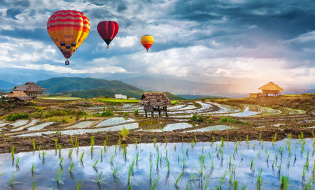 Colorful hot air balloons over green rice field. Colorful hot air balloon over green paddy field. Sport, transportation, travel and recreation concept. rainy season.の写真素材