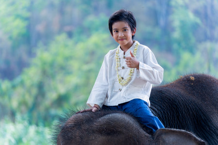 Relationship between Asian people and elephant, A asian boy dressing traditional Thai northern style ridding on elephant during travel in Elephants villageの写真素材