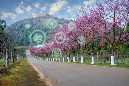 EV icons on beautiful road, Green sustainable energy produced from renewable resources. Environmental technology concept. Sustainable development goals. Energy EV car concept. Nature power technologyの写真素材