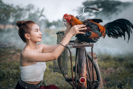 The relationship between a chicken and a person. Asian cute girl wearing Thai traditional dress and her chicken sitting on bicycle in the countryside.The girl's hands caress her cockの写真素材