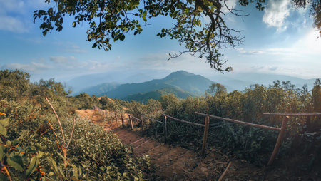Mountain landscape with hiking trail and view of beautiful forest, Mountain path, Hiking trail...