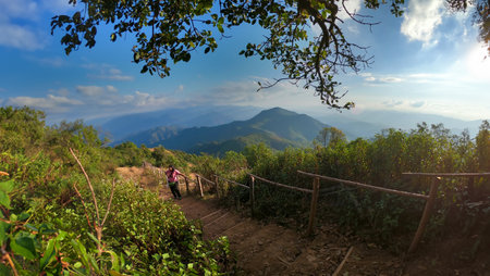 Mountain landscape with hiking trail and view of beautiful forest, Mountain path, Hiking trail through forested peaks, Trial to the peak in high Mountains at Doi Pui Co, Thailandの写真素材