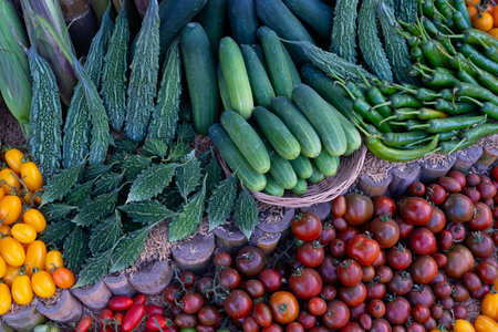 In a summer garden filled with green foliage and blooming nature vibrant fruits including tomatoes decorates background. Decorating with many types of vegetables.Vegetable background, harvestingbackground, harvestingの写真素材