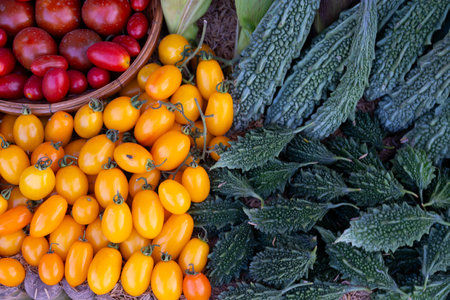 In a summer garden filled with green foliage and blooming nature vibrant fruits including tomatoes decorates background. Decorating with many types of vegetables.Vegetable background, harvestingbackground, harvestingの写真素材