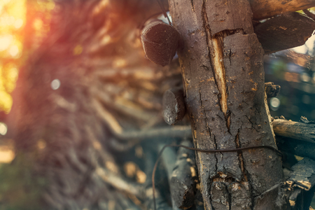 wicker fence made of wood twigs in the rays of the sun. background for rural subjectsの写真素材