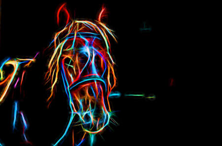 Silhouette of a horse in neon treatment. A stylish screen saver with an animal theme.の写真素材