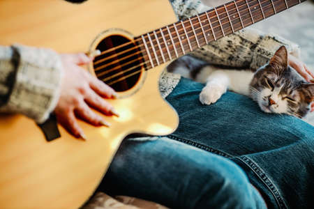 Girl sits on couch in room and plays guitar for cat. Friendship and love for pet. Warm friendly home environment.の写真素材