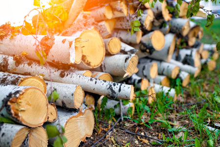 Background of birch chocks. Alternative to gas heating. Fuel for heating the house in winter. Lots of firewood. Rustic background.の写真素材