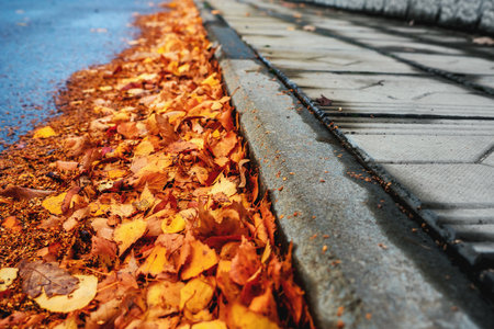 Yellow leaves lie near curb of sidewalk. Boring autumn background..の写真素材