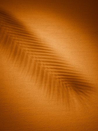 Shadow from palm branch on yellow background. Beautiful tropical background with sunset sunlight.