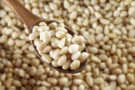 Kernels of peeled pine nuts lie in a wooden spoon. Useful nuts.の写真素材