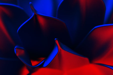 Abstract background in red-blue color. Macro photo of petals. Studio lighting.の写真素材