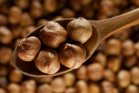 Peeled hazelnuts. Hazelnut kernels lie in wooden spoon. Top view of nuts close-up. Advertising photography for marketplaces or online stores.の写真素材