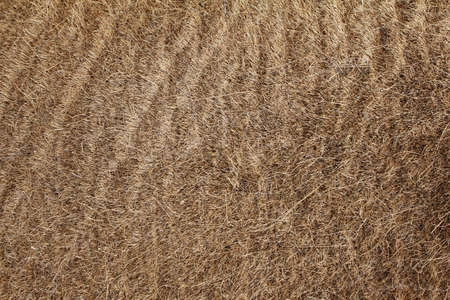  Anti-slip is made from coconut for background の写真素材