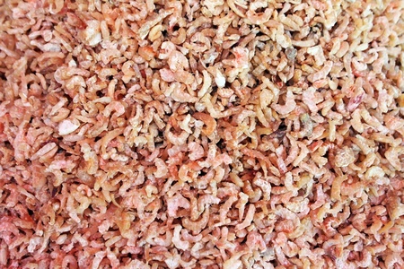 dry shimps for background