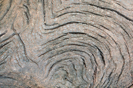 grunge wooden background 