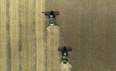 Harvesting wheat with machines. Filming by drone.の写真素材