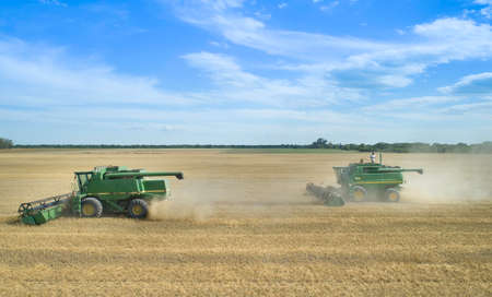 Harvesting wheat with machines. Filming by drone.のeditorial素材
