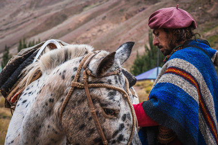 Argentine Gaucho with his horses, drinking hot drink.の写真素材