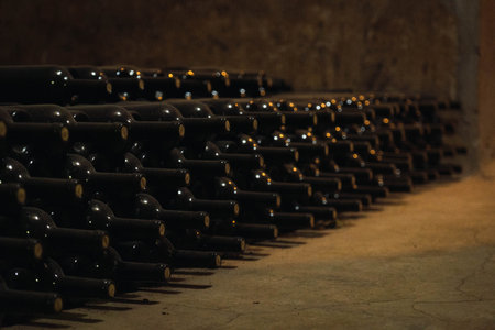 Wine glass bottles fermenting in winery cellar.の写真素材