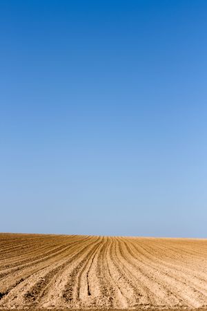 Empty landscape, just sown ground. Landscape orientation.の写真素材