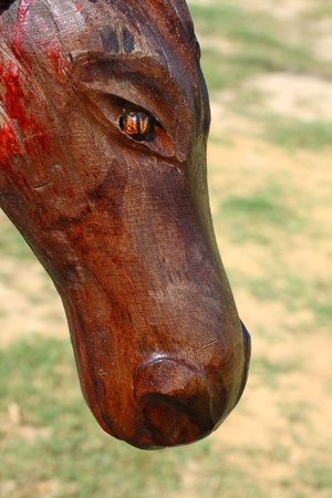 Head horse made from woodの写真素材