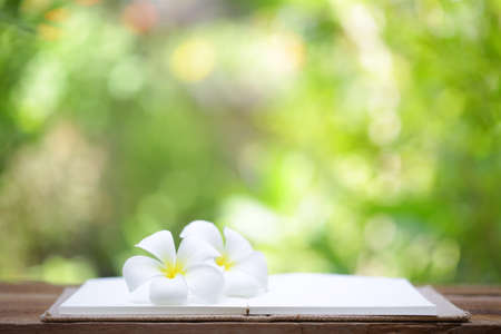 Notebook and flower on wooden tableの写真素材