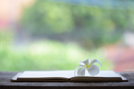 Notebook and flower on wooden tableの写真素材