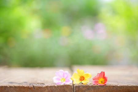 Flowers on wooden tableの写真素材