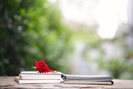 Red rose with diary notebook at outdoorの写真素材