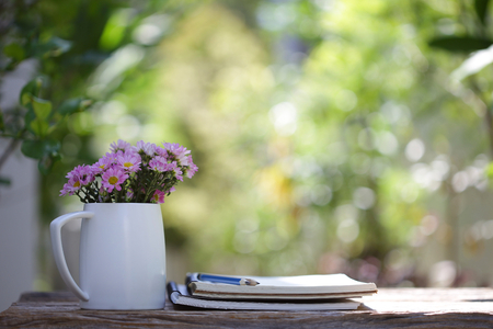 Pink Zinnia flower in water pot on wooden tableの写真素材