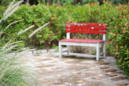 poaceae flower with red rustic bench at out door parkの写真素材