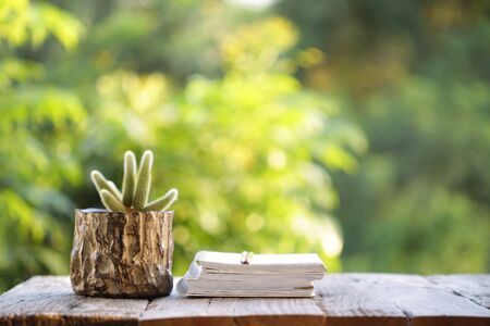 Small cactus plant with book on wooden tableの写真素材
