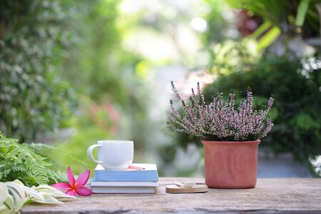 White coffee cup and pink frangipani flower with heathers plant on wooden table at outdoorの写真素材