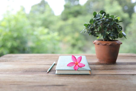 Frangipani flower with diary notebook and pencil with plant pot on wooden tableの写真素材