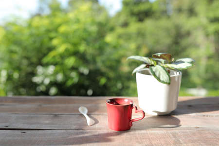 Red coffee mug with wooden spoon and plant pot on wooden tableの写真素材