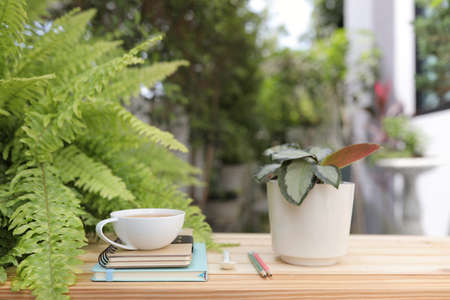 white cup with notebooks and pencil with plant pot on wooden table outside green exterior houseの写真素材