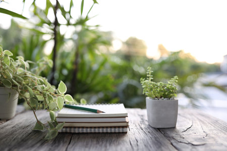 Notebooks and pencil with small cute green plants nature lifestyleの写真素材