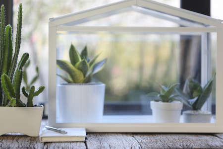 Cactus with notebook and miniature greenhouse decorate with plant pot in side