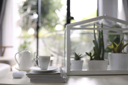 White cup with notebooks and cactus with miniature greenhouse decorate with plants pot in sideの写真素材