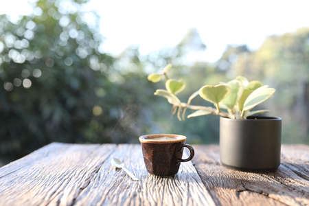 Clay brown coffee cup and spoon with hoya plantの写真素材